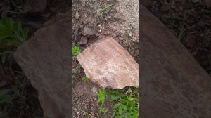 песчаник это история земли