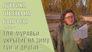 Ответы на вопросы Выпуск 16