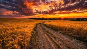 Moments of Calm ｜ Relaxing Ambient Music for Peace, Stress Relief & Deep Reflection-