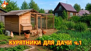 Варианты курятников для дачи и сада – идеи для удобного содержания кур 1