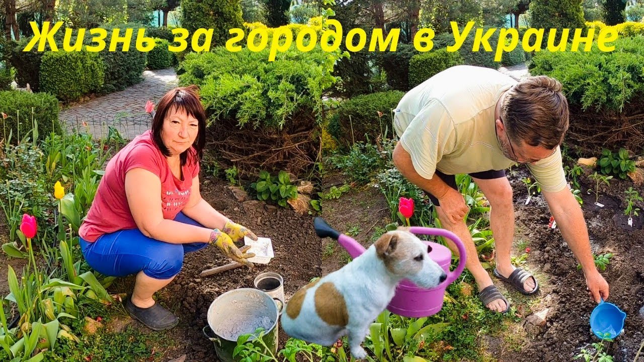 Наша жизнь в Украине. Работаем как пчелки. Дети заехали с вкусняшками #familyvlog