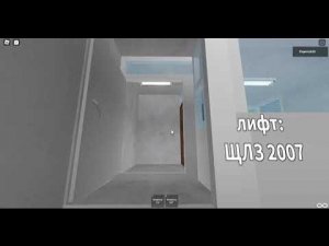 Зелёные лифты ЩЛЗ 2007 В 9 Этажном доме Подъезд №2 Серия 58