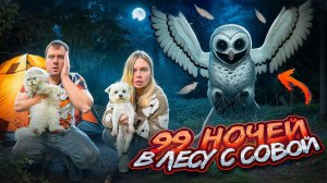 99 НОЧЕЙ В ЛЕСУ С ДИКОЙ СОВОЙ | СКРЫВАЕМСЯ В ПАЛАТКЕ С КОТОМ И СОБАКОЙ