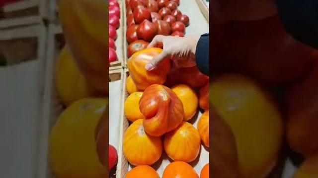 Шиндр Мындр новый контент Торговый рынок сестры смотреть онлайн