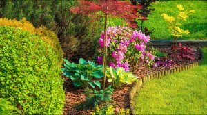 Как украсить сад Идеи для воплощения / How to Decorate a Garden Ideas for Implementation