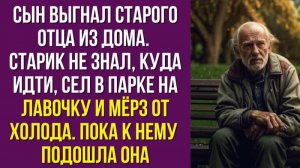 Сын выгнал старого отца из дома. Старик не знал, куда идти, сел в парке на лавочку и мёрз от холода