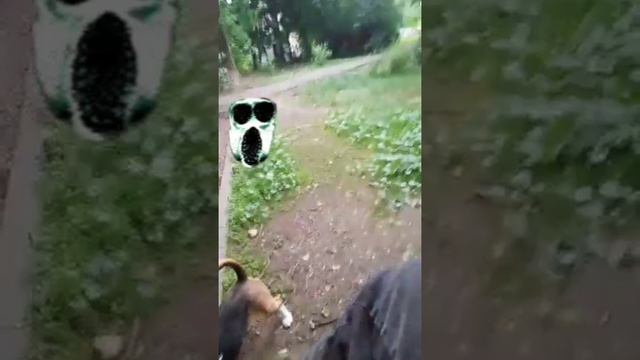 Ahlelele Ahleambush сезон 5 +(2 концовки)
