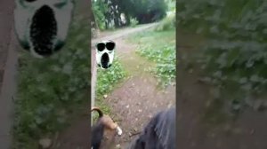 ahlelele ahleambush сезон 5 +(2 концовки)