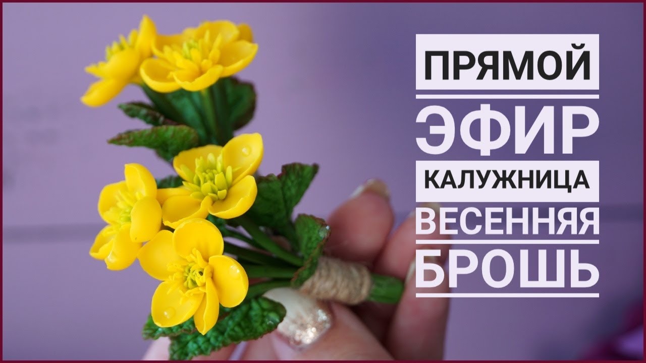 КАЛУЖНИЦА 🌱 ВЕСЕННИЕ БРОШКИ 🌱 ПРЯМОЙ ЭФИР 🌱 ПОЛИМЕРНАЯ ГЛИНА 🌱 POLYMER CLAY TUTORIAL 🌱 CERNIT смотреть онлайн