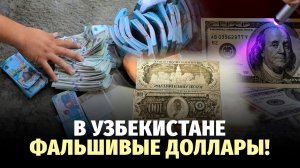 В Узбекистан массово завозят фальшивые доллары из Турции
