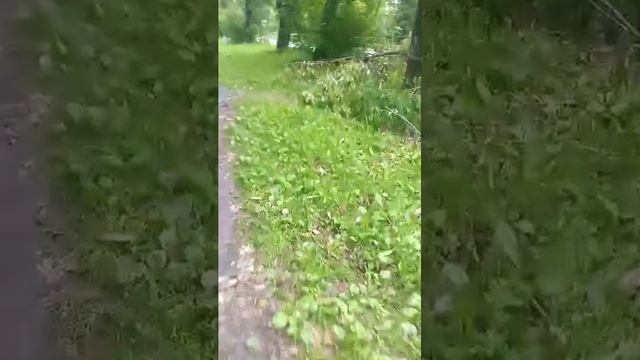 стрим прогулка всем привет