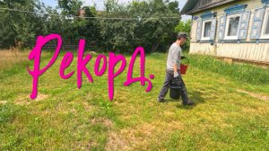 Рекорд.