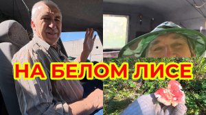 Поехали Прокатимся на Белом Лисе. Поболтаем. Покажу что сам увижу.