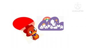 новое студия