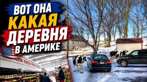 Деревня в США. Частный сектор. Коровы, кафе, магазинчики . Цены на подержанные машины #сша