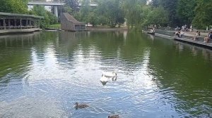 VID_20260630_153035.mp4