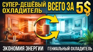 Как охладить дом в лютую жару без кондиционера за копейки: забытый секрет выживания