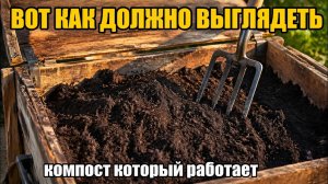 Правильный компост: от закладки до готового удобрения — всё что нужно знать
