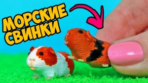 МОРСКИЕ СВИНКИ 🐹 Как слепить ПИТОМЦА из полимерной глины СВОИМИ РУКАМИ! АННА ОСЬКИНА