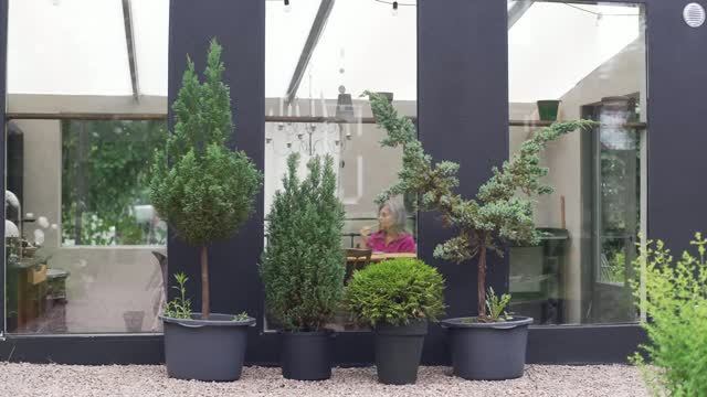 Home2Tiny Летний образ жизни в 60 лет | Выпечка без глютена и сахара