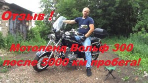 Обзор - отзыв владельца Мотоленд Вольф 300 (Motoland Wolf 300) спустя два года эксплуатации.
