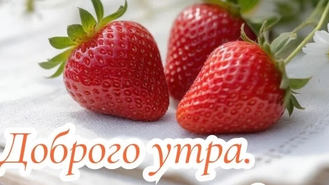С добрым,летним утром! смотреть онлайн