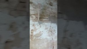 1000331403.mp4