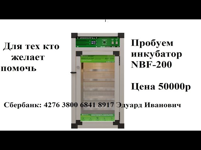 Собираю деньги на тест Инкубатора профессиональный фермерский NBF-210 смотреть онлайн