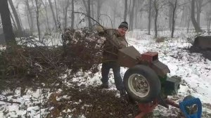 мой измельчитель веток в работе