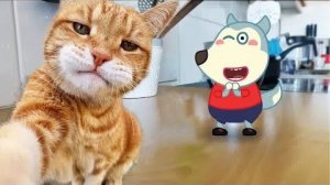 Мультики для детей .Детские мультики.Яркие мультики