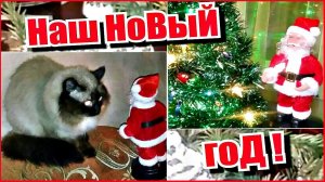 Украшаем дом к НОВОМУ году! КАК украсить квартиру на Новый Год.