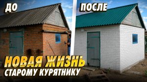 Новая жизнь старому курятнику! Как освежить внешний вид за два дня