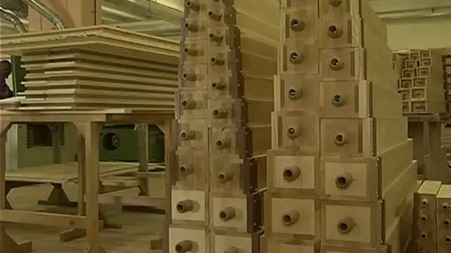 3. Духовые акустические органы, устройство. Орган — Король музыкальных инструментов. Органы Skrabl