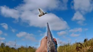 Охота на утку с ягдтерьером осенью /  Duck hunting with a yagd terrier