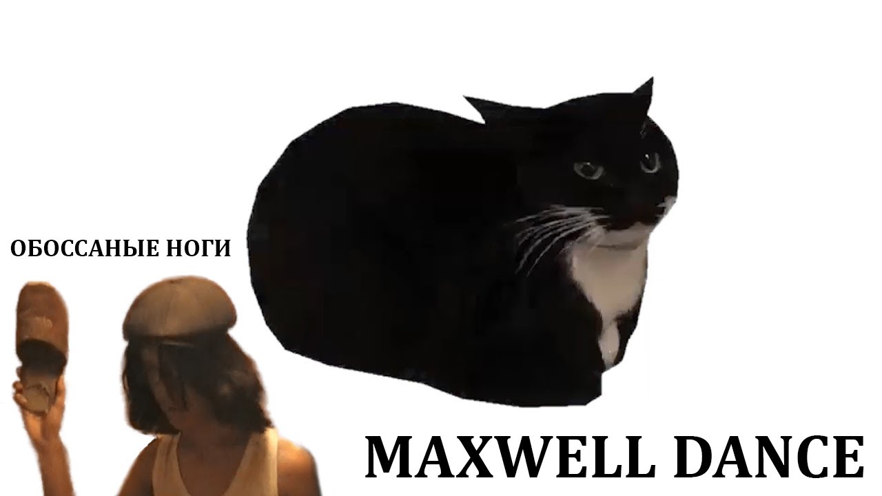Maxwell The Cat Dances - Обоссаные Ноги, Кот Василий - Дай Жрать смотреть онлайн