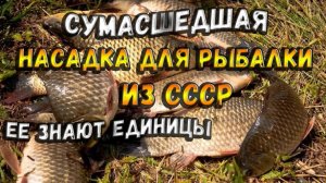 Сумасшедшая дедовская насадка своими руками для рыбалки на карася рецепт из СССР