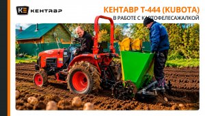 8 СОТОК КАРТОШКИ ЗА 40 МИНУТ! Кентавр Т-444 (Kubota) с картофелесажалкой FLAGMAN | Сергей Горячев