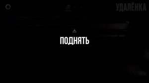 УДАЛЁННАЯ работа для тех, кто НИЧЕГО не умеет в 2026