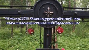 В Екатеринбурге рпц пытается уничтожить человеческую память и вырубить лес!