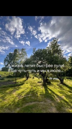 Лето - это маленькая жизнь!