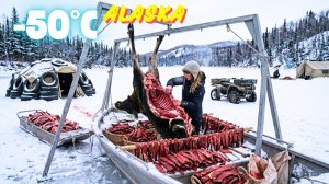 ❄️Выживание на Аляске: охотник живёт охотой, строит укрытия и хранит мясо под снегом.