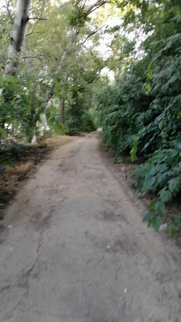 тропа смотреть онлайн
