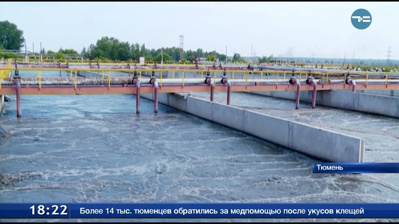 Очистить все смотреть онлайн