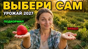 СЫПЛЮ ЭТО ПОД КУСТ В ИЮНЕ — И КЛУБНИКА НА СЛЕДУЮЩИЙ ГОД С КУЛАК!