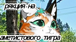 рякция на аметистового тигра