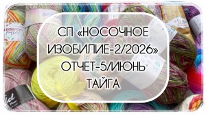 СП «Носочное изобилие-2/2026» 🧦 Отчёт-5 🌳 Тайга 🌳