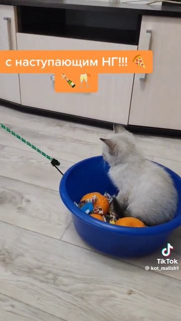 1000046257.mp4 смотреть онлайн