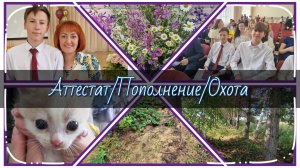 Миссия выполнена!/Новый член семьи/Неудачная охота