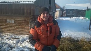 Жизнь в деревне - Заносим сено с улицы в сарай.