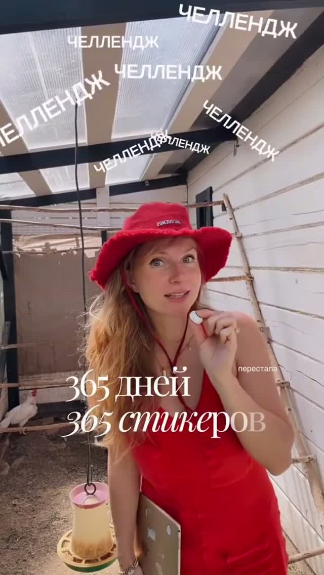 Зачем взрослой женщине рисовать 365 стикеров? смотреть онлайн